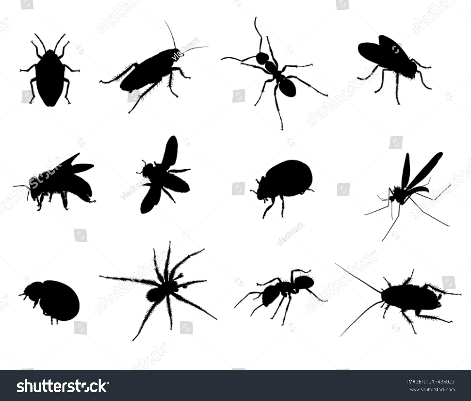 Bug Black Vector Silhouettes Illustration Stock Vector (Royalty Free ...