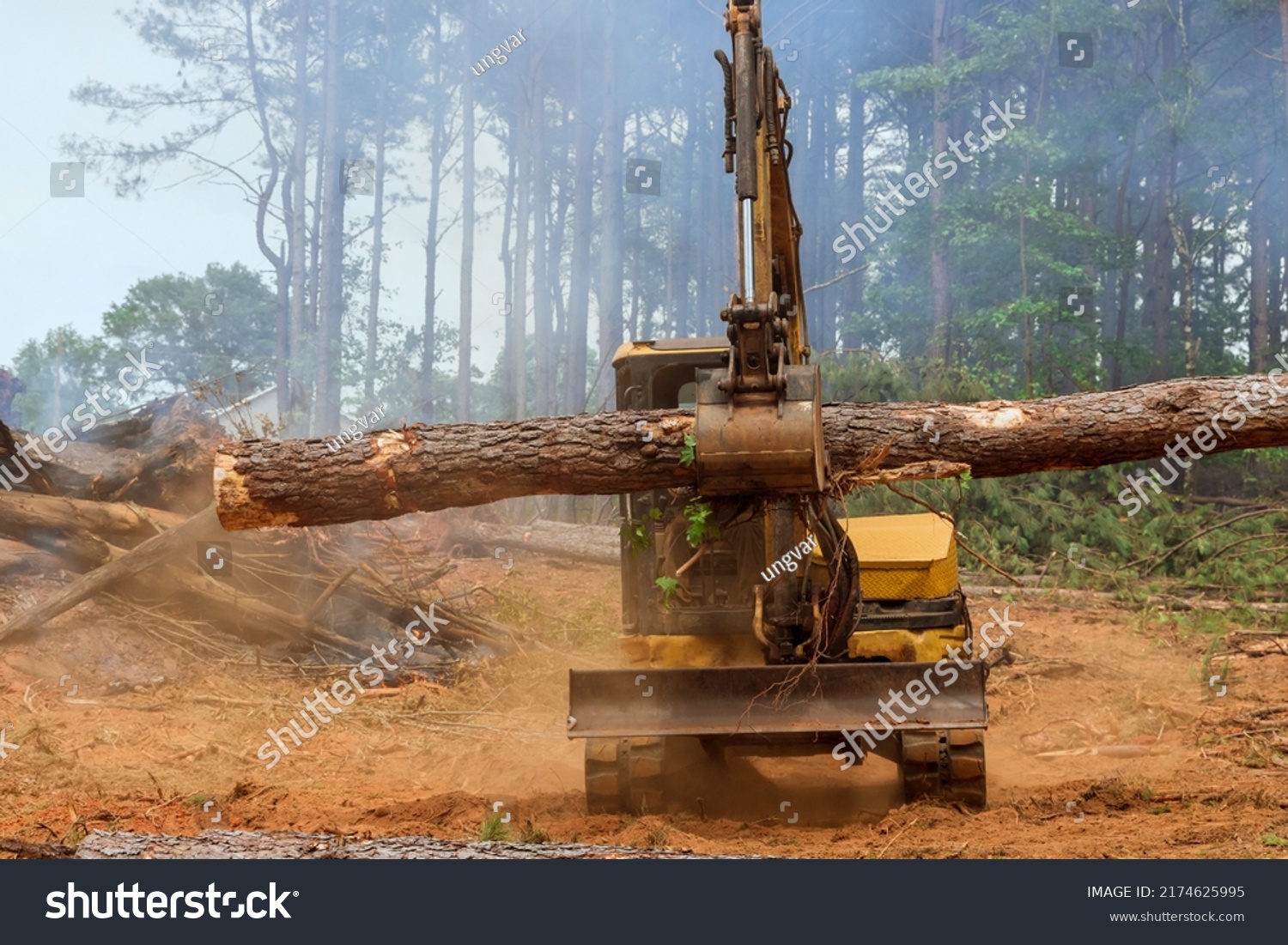 226 Log hydraulic manipulator Images, Stock Photos & Vectors | Shutterstock