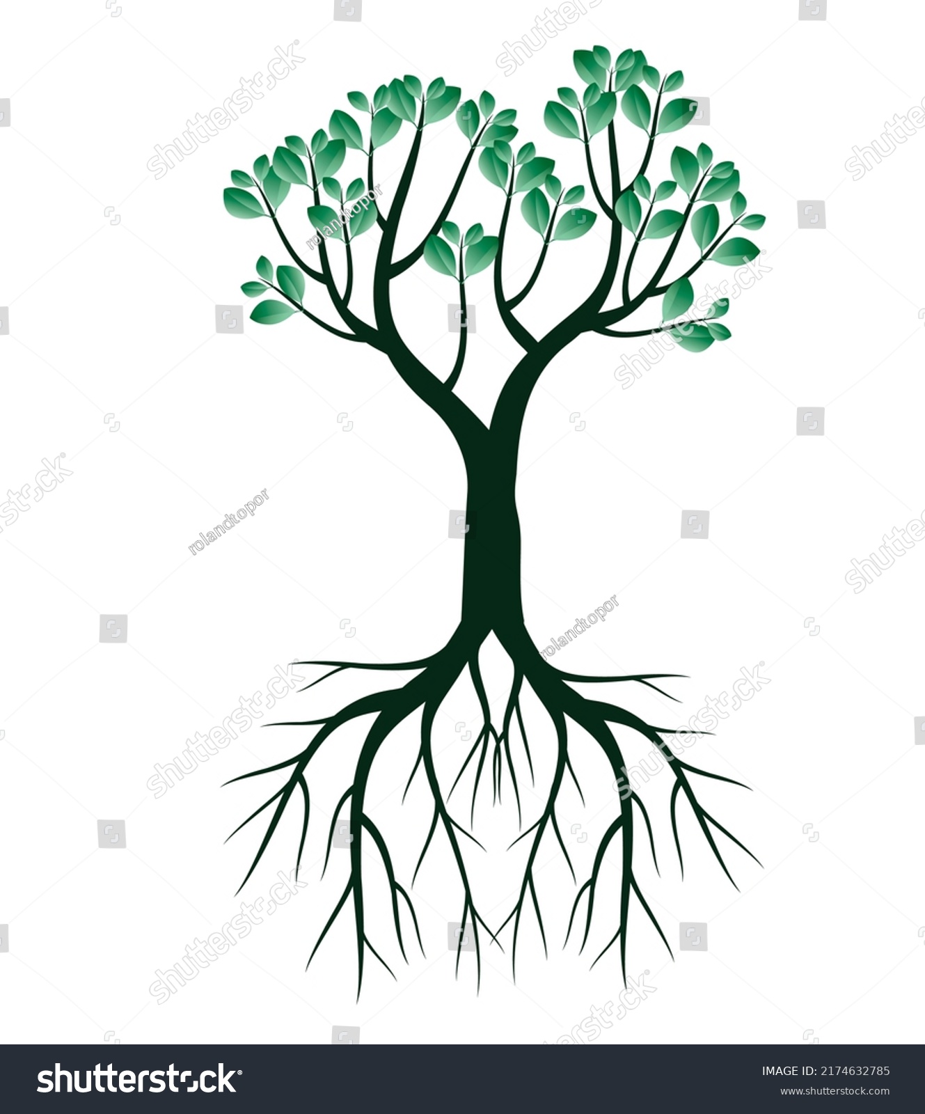 Green Tree Vector Outline Illustration Stock Vector (Royalty Free ...