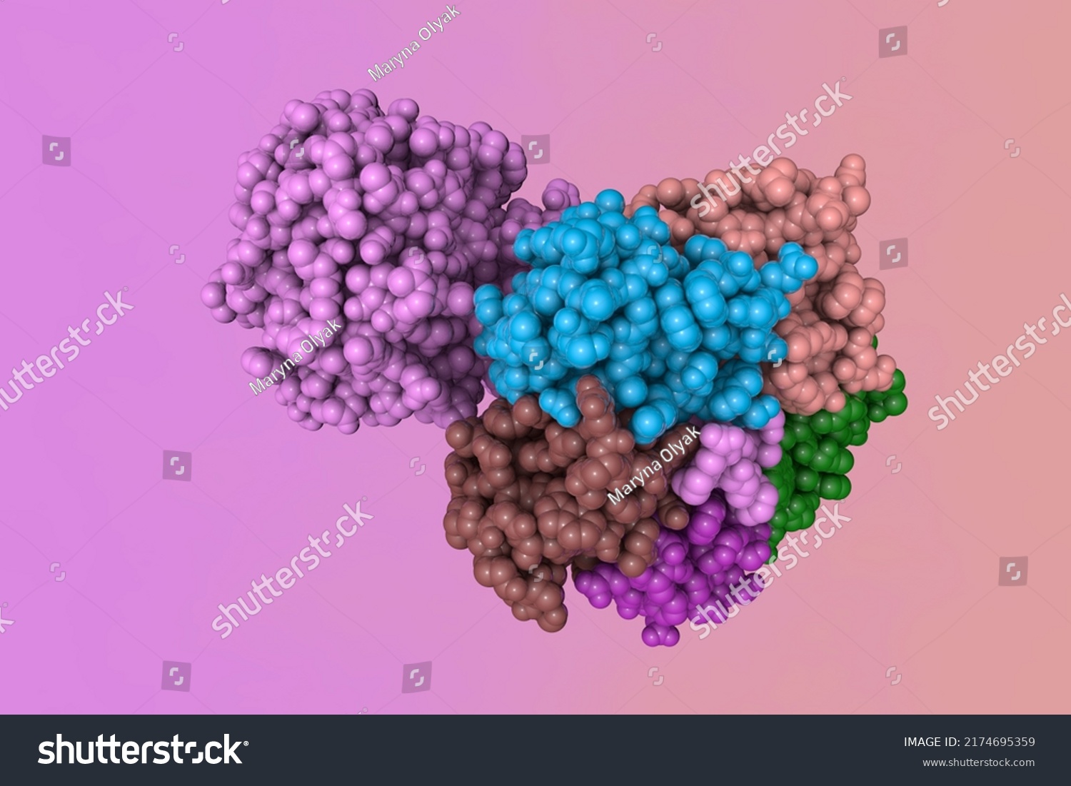 Shiga Toxin Produced By Bacteria Shigella Stock Illustration 2174695359   Stock Photo Shiga Toxin Produced By Bacteria Shigella Dysenteriae Space Filling Molecular Model Rendering 2174695359 