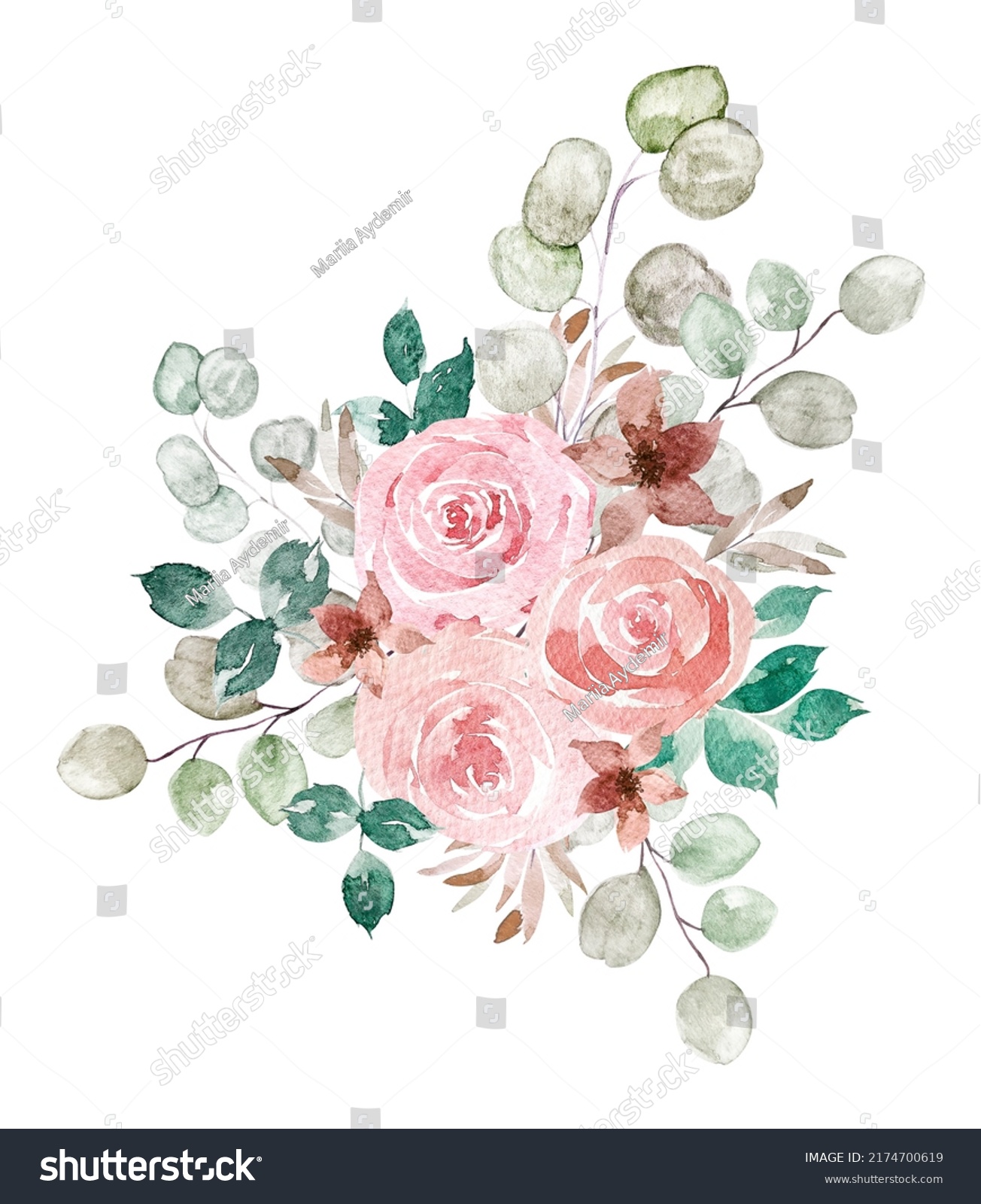 Watercolor Pink Roses Greenery Bouquet Blooming Stock Illustration ...