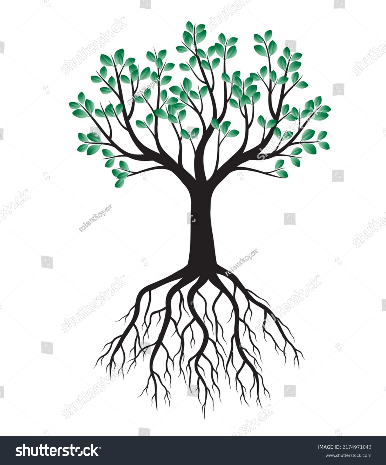 Green Tree Roots Vector Outline Illustration Stock Vector (royalty Free 