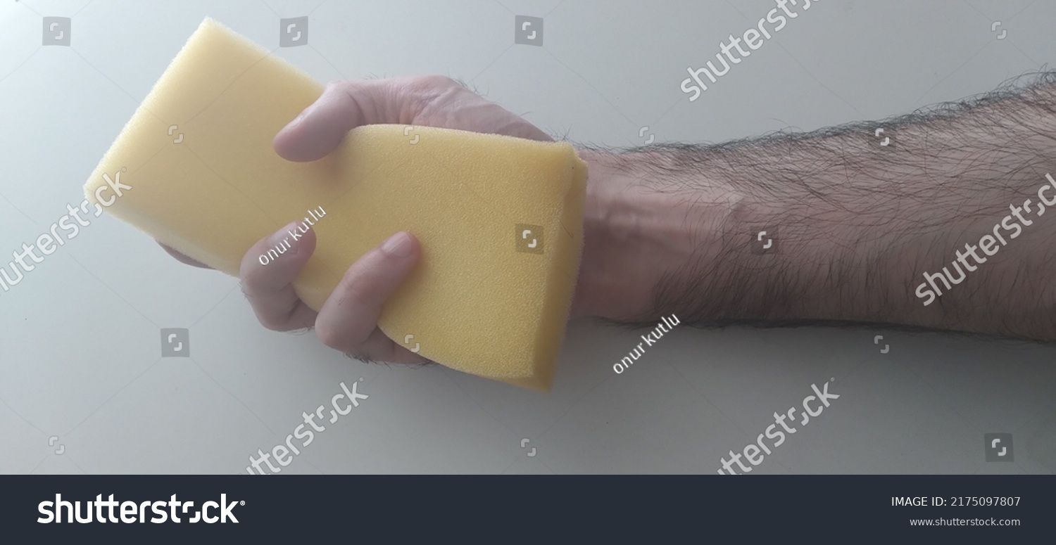 Hand Holding Sponge White Background Stock Photo 2175097807 Shutterstock   Stock Photo Hand Holding Sponge With White Background 2175097807 