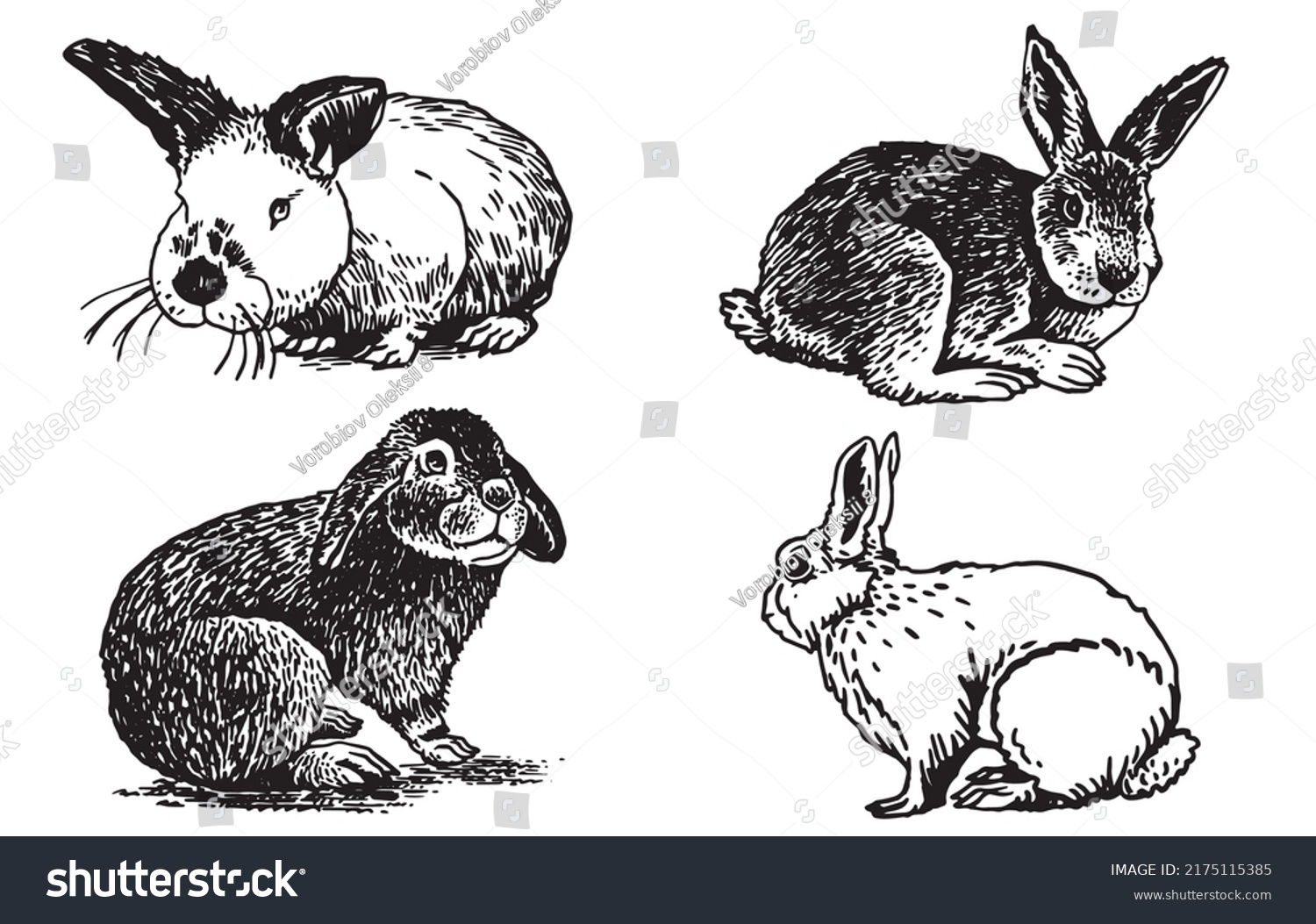 Graphical Collection Rabbits Isolated On White Stock Vector (Royalty ...