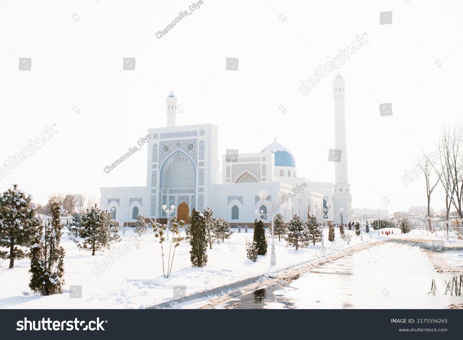 1,054 Uzbekistan Winter Stock Photos, Images & Photography | Shutterstock