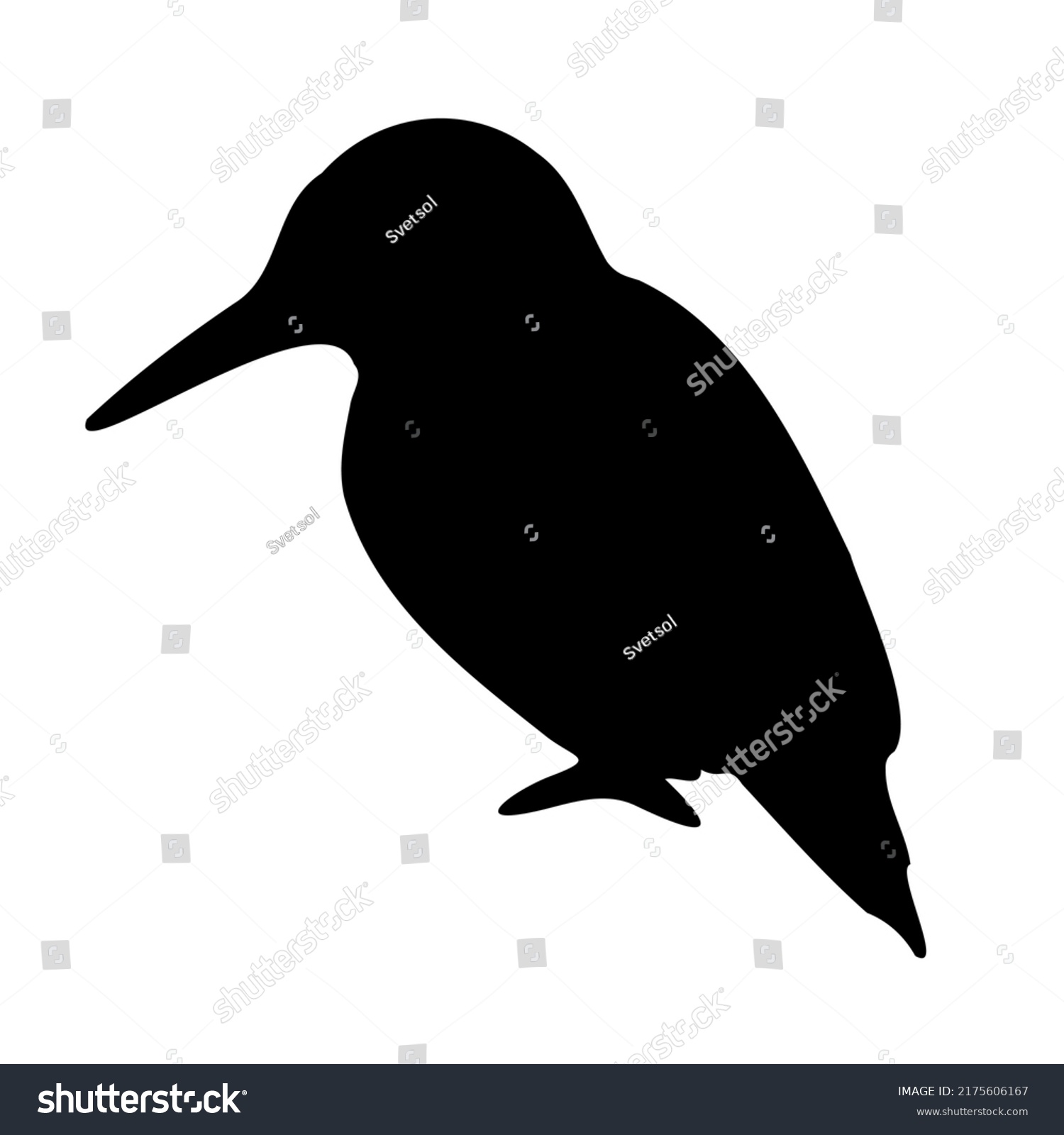 Vector Hand Drawn Kingfisher Silhouette Isolated Stock Vector (royalty 