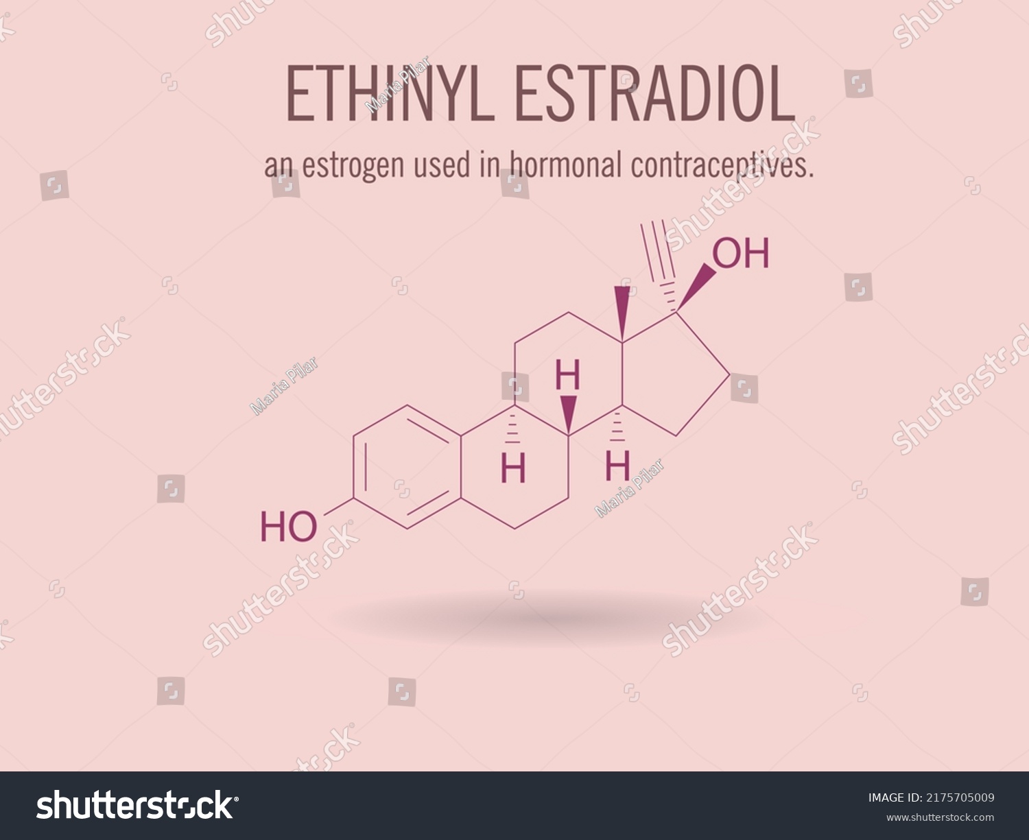 Human Hormone Estradiol Chemical Structure Estradiol Stock Vector Royalty Free 2175705009 6283