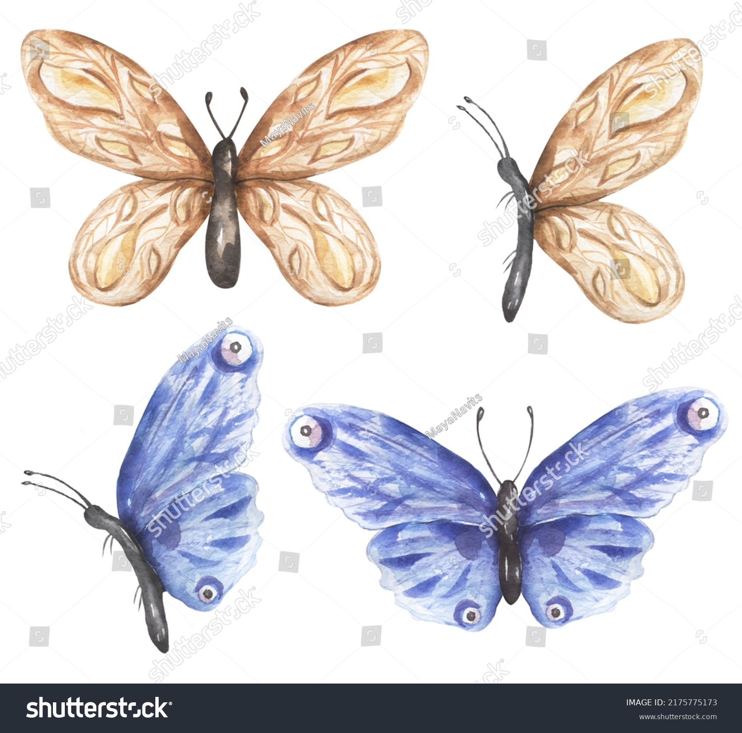 Delicate Beige Blue Butterfly Clipart Set Stock Illustration 2175775173 ...