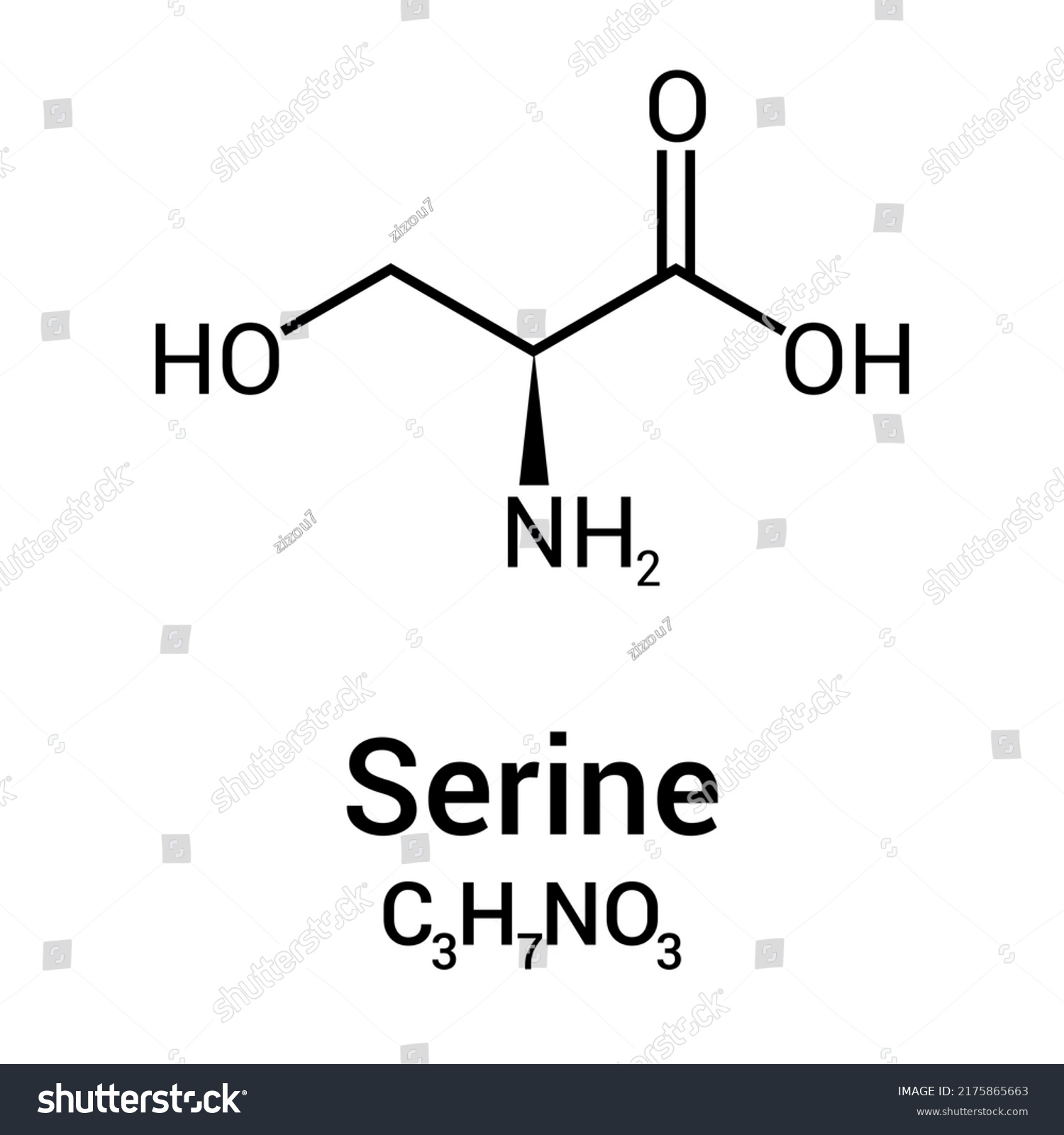 Chemical Structure Serine C3h7no3 Stock Vector (Royalty Free ...