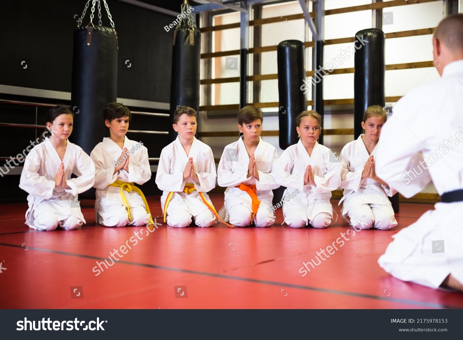 Group Karate Kids White Kimono Kneeling Stock Photo 2175978153 ...