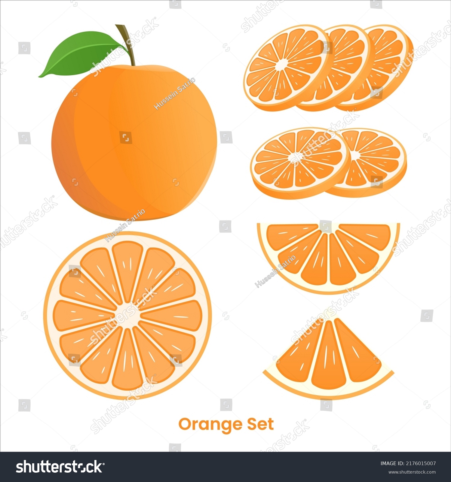 Different Orange Pieces Vector Illustration Set Stock Vector (Royalty ...