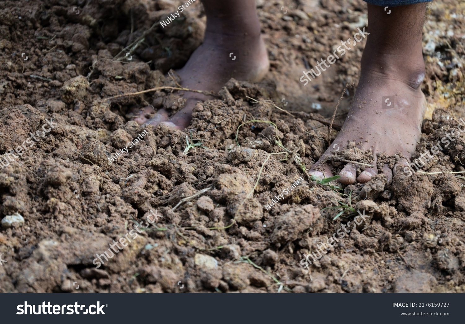 Taking Photo Bare Feet Asian Boy Stock Photo 2176159727 | Shutterstock