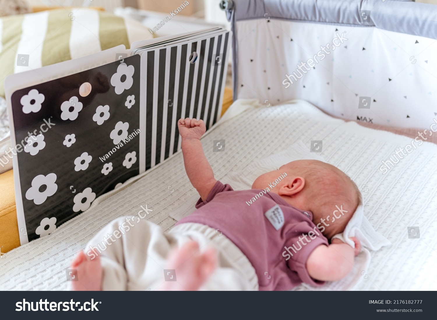 Newborn Baby Looks Contrast Black White Stock Photo 2176182777