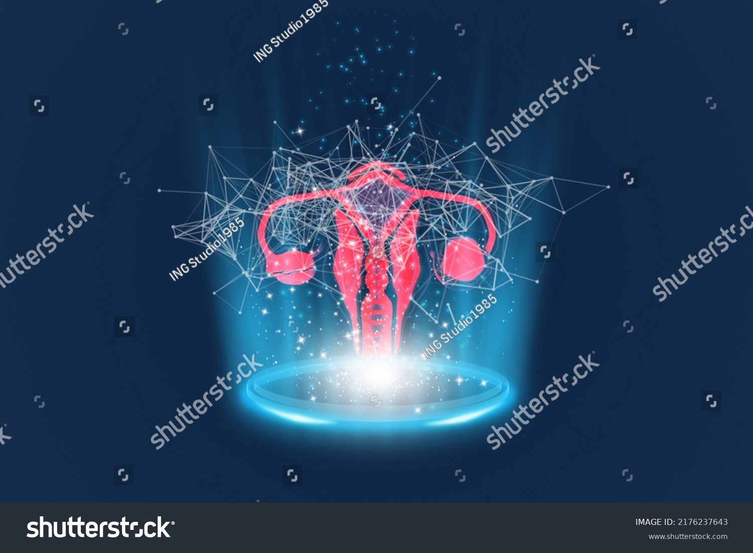 Uterus Medical Examination Doctor Analyzing Medical Stock Illustration ...