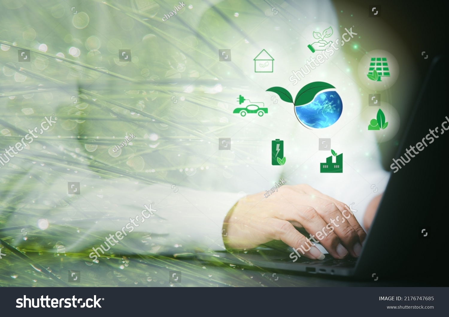 Young Businessman Using Laptop Sustainable Development Stock Photo ...