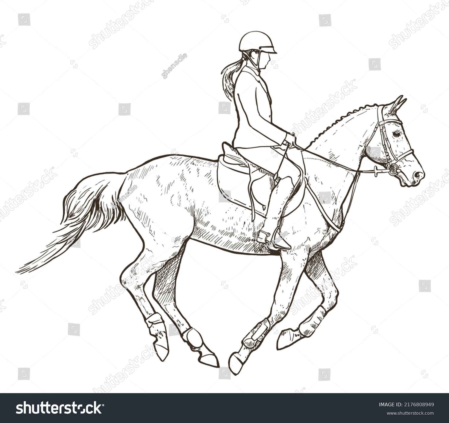 Horse Sports Illustration Young Female Riding Stock Vector (Royalty ...