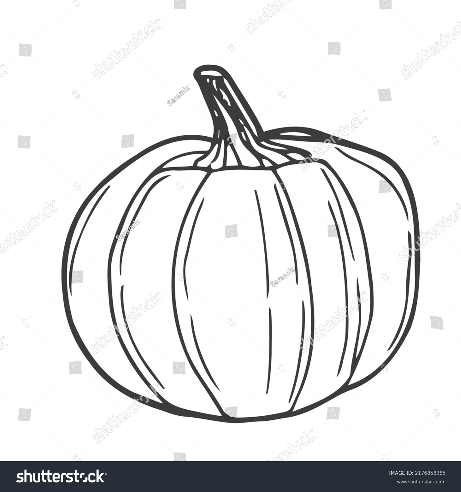 Vector Hand Drawn Pumpkin Outline Doodle Stock Vector (Royalty Free ...