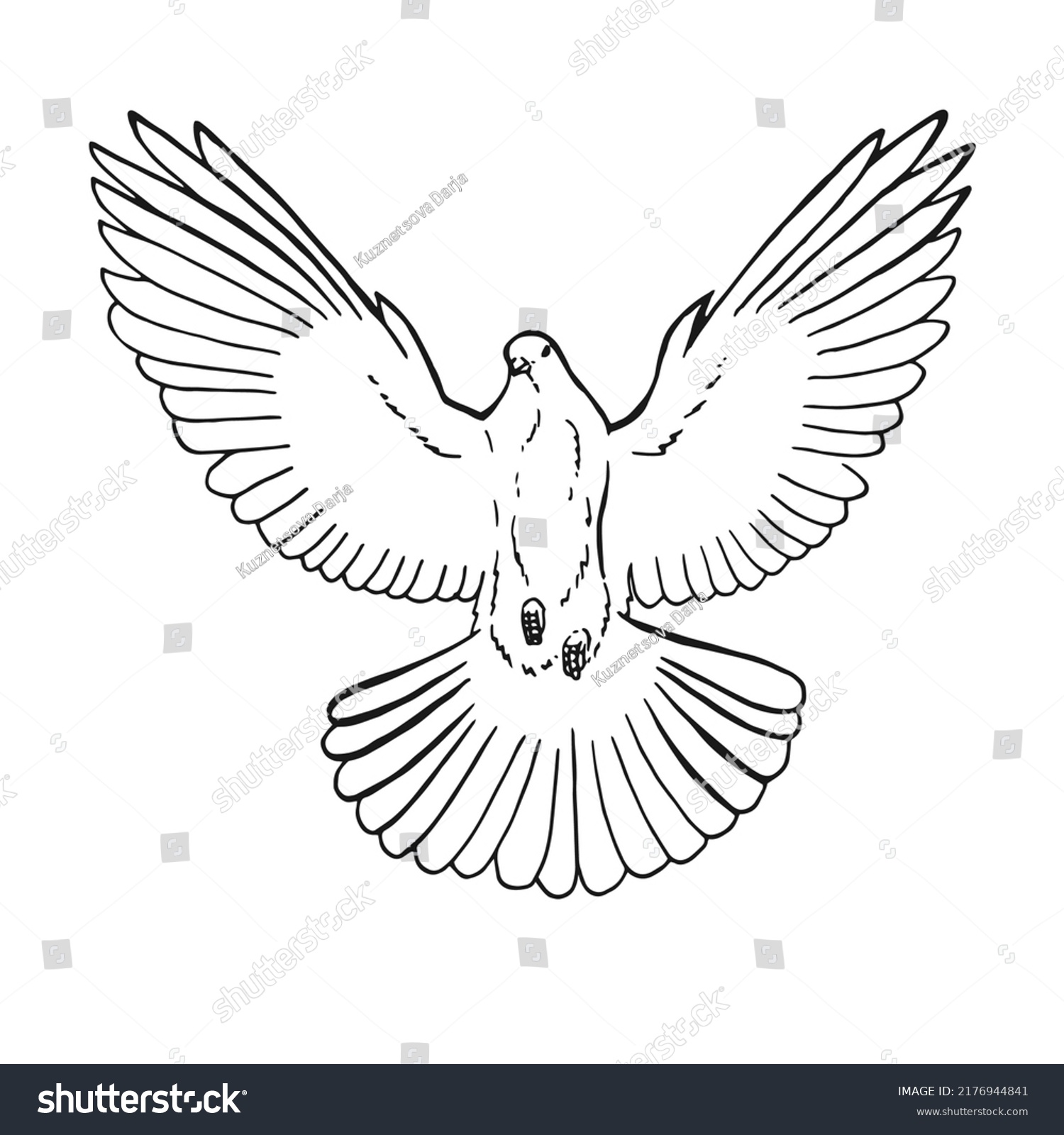 Hand Drawn Dove Outline Line Art Stock Vector (Royalty Free) 2176944841 ...