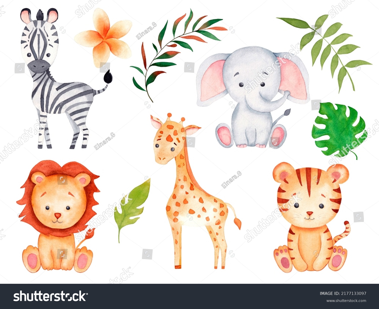 Safari Animals Watercolor Illustration Baby Elephant Stock Illustration ...