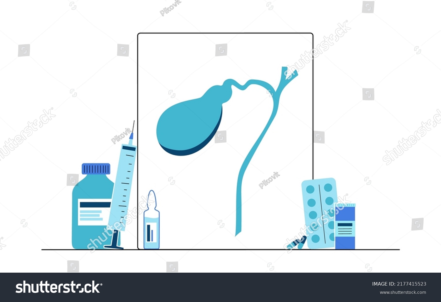 Gallbladder Anatomical Poster Banner Education Scheme Stock Vector ...