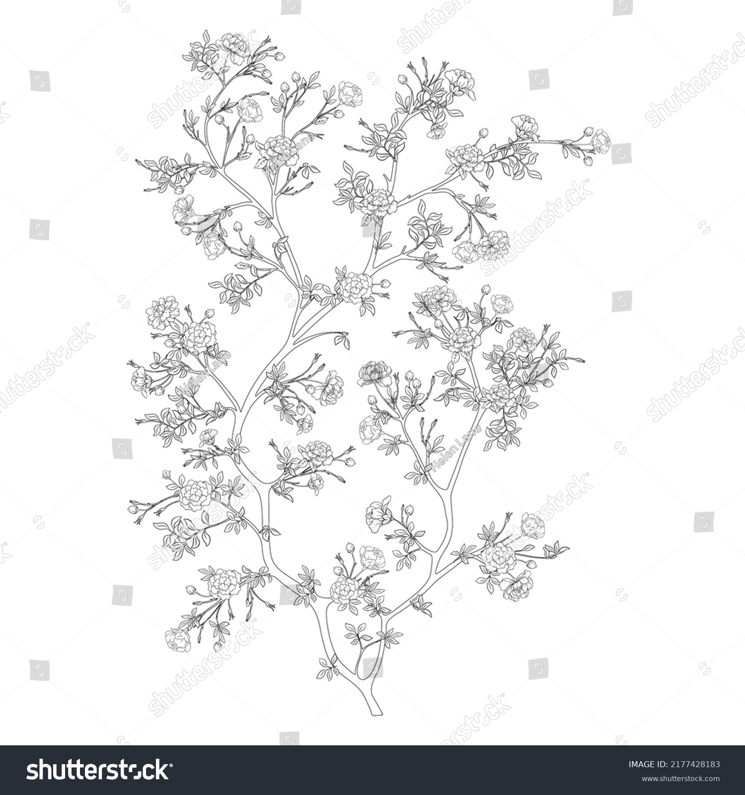 Camellia Blossom Tree Clip Art Element Stock Vector (Royalty Free ...