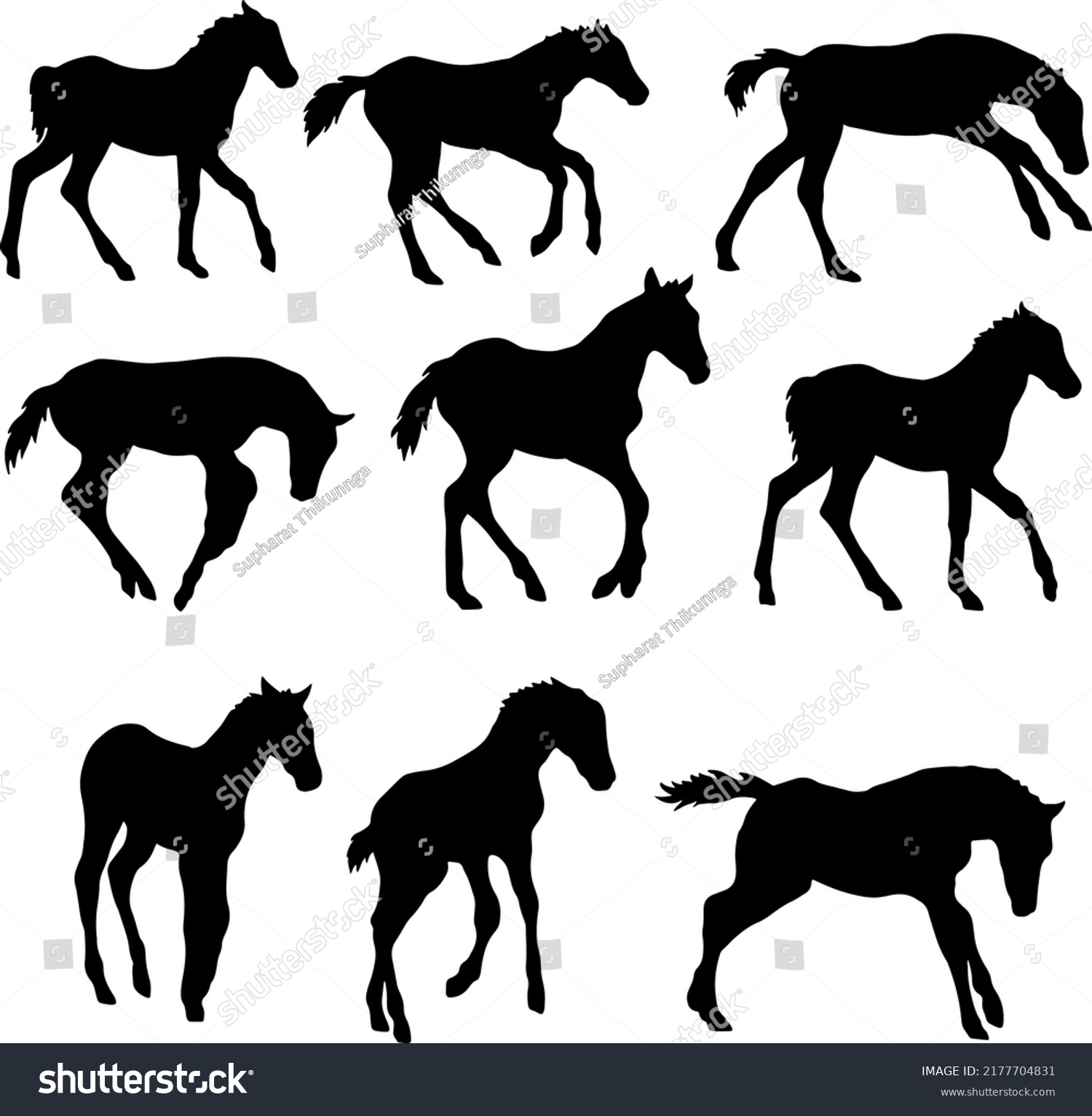 Set Horse Silhouette Line Art Stylehorse Stock Vector (Royalty Free ...