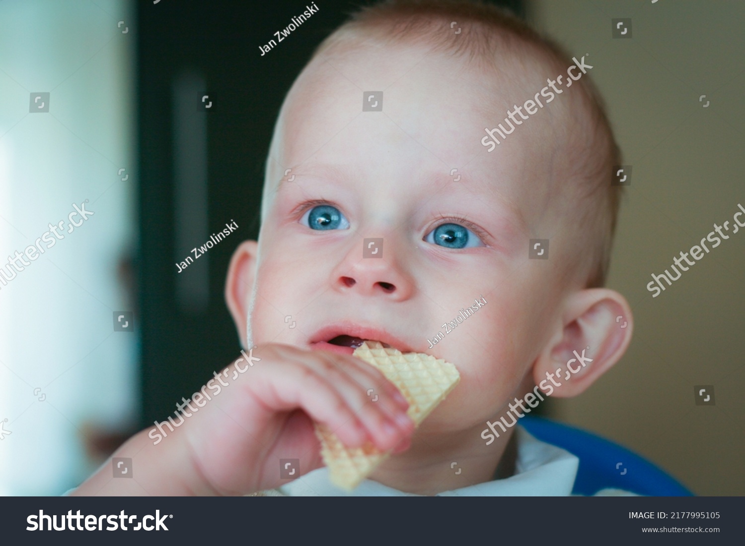 One Year Old Baby Boy Eating Stock Photo 2177995105 Shutterstock