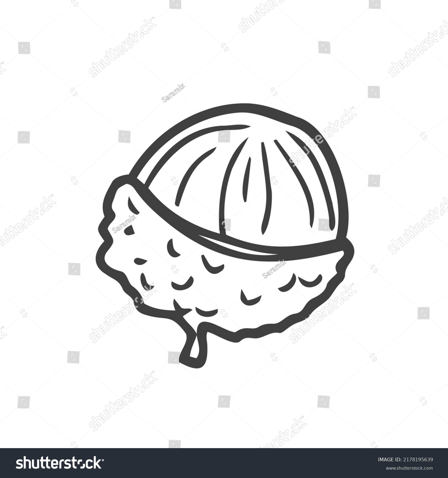 Lychee Fruit Graphic Black White Isolated Stock Vector (Royalty Free ...