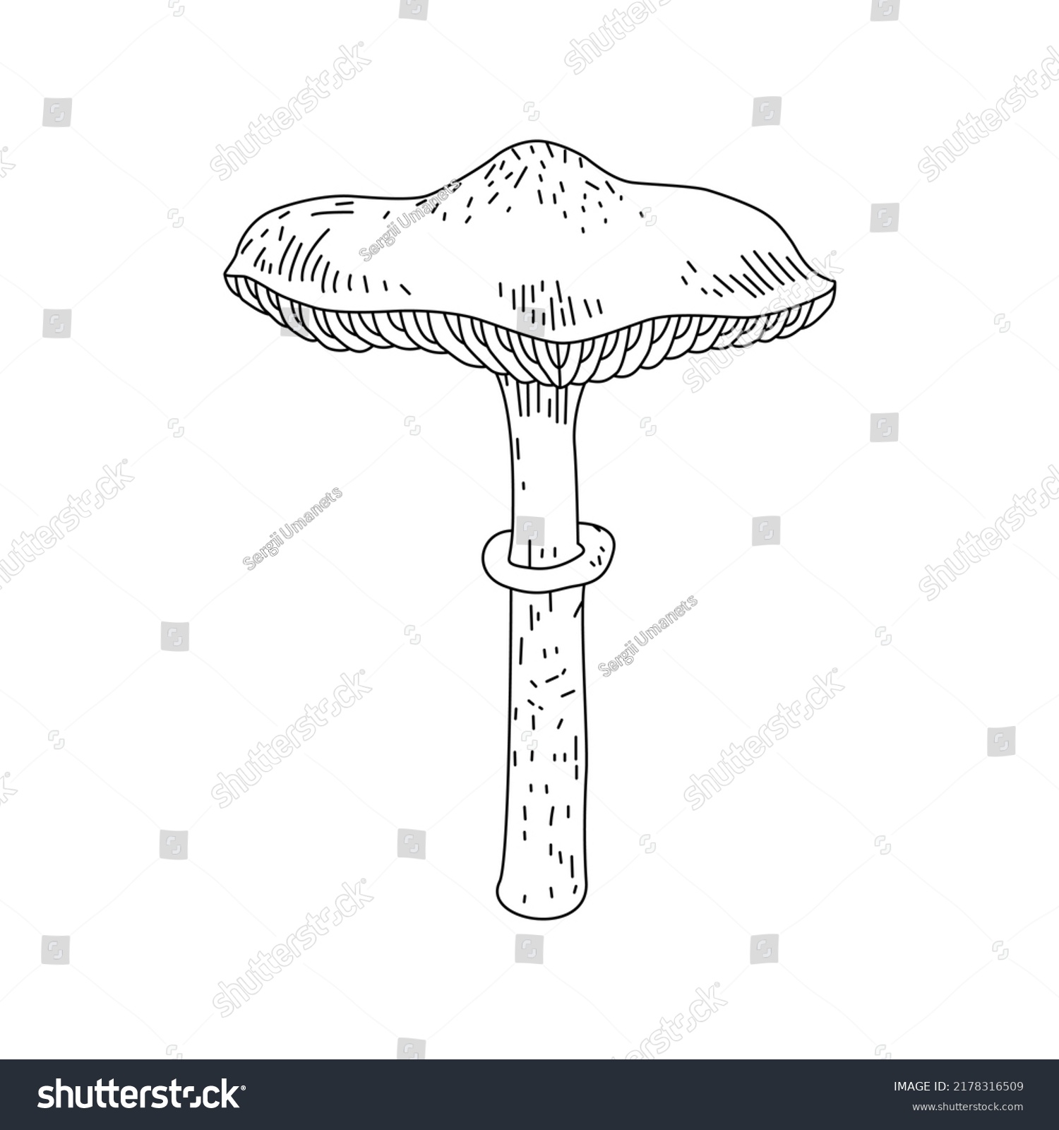 Mushroom Illustration Logo Mushrooms Tattoo Line Stock Vector (Royalty ...