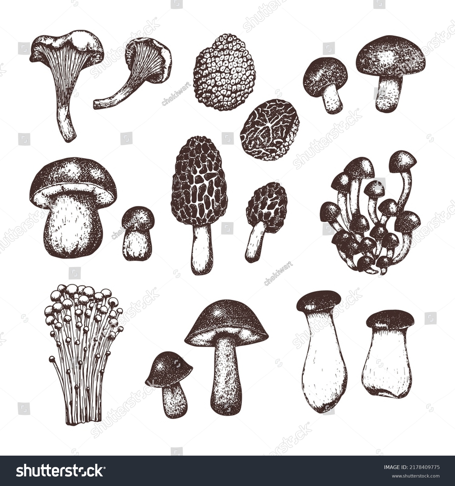 Set Hand Drawn Sketch Style Mushrooms Stock Vector (Royalty Free ...