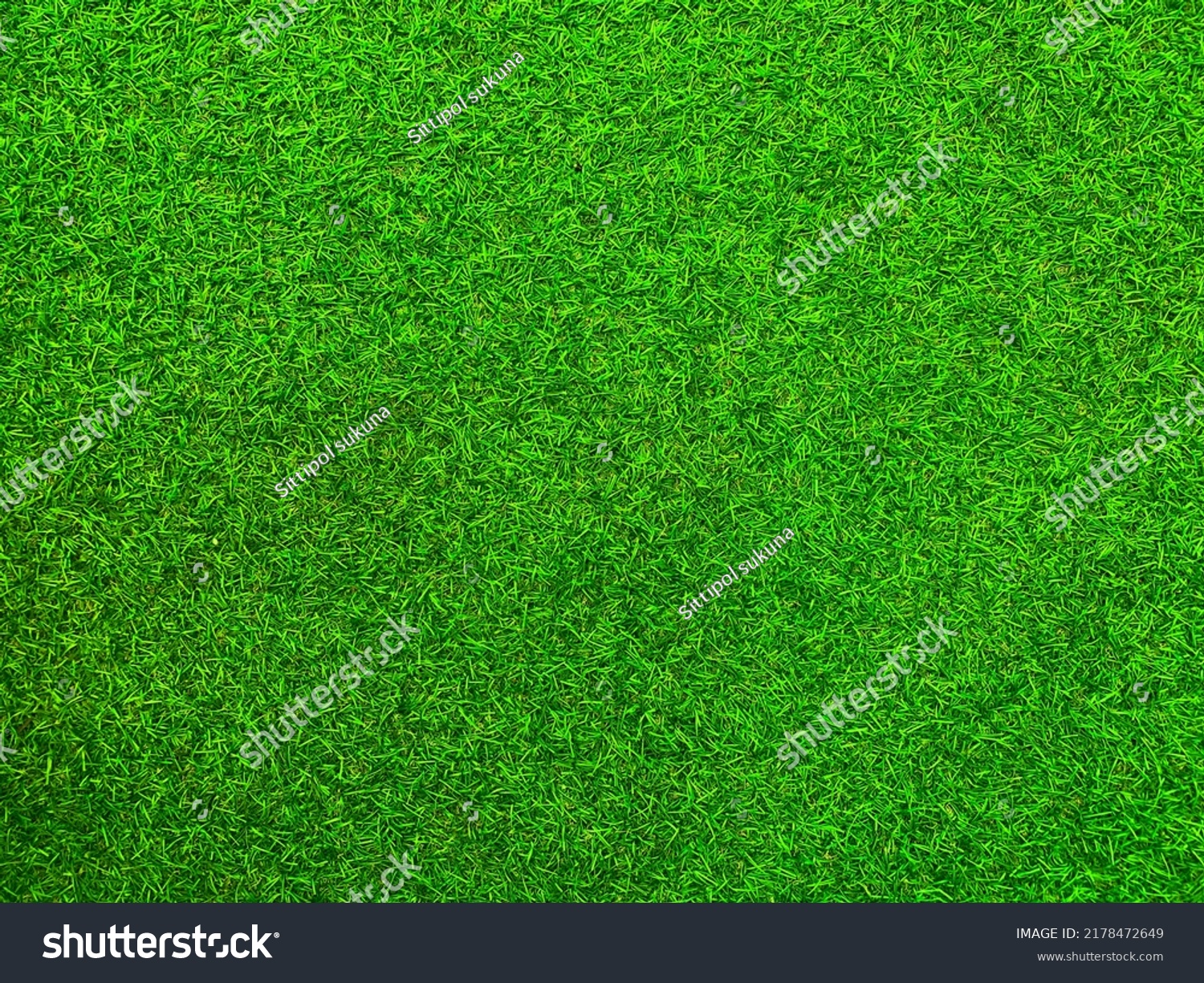 Green Grass Texture Background Grass Garden Stock Photo 2178472649