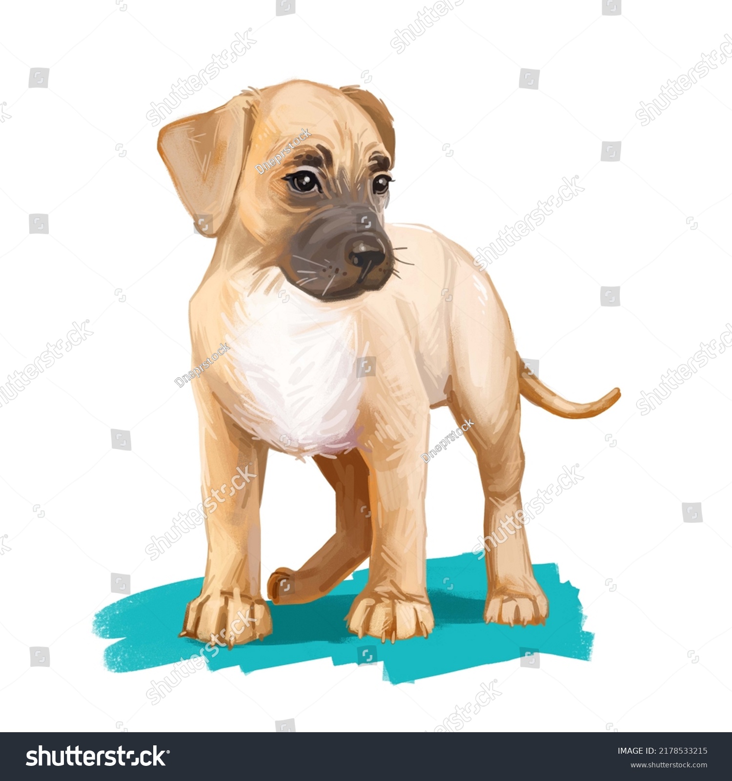 boxer labrador clipart free