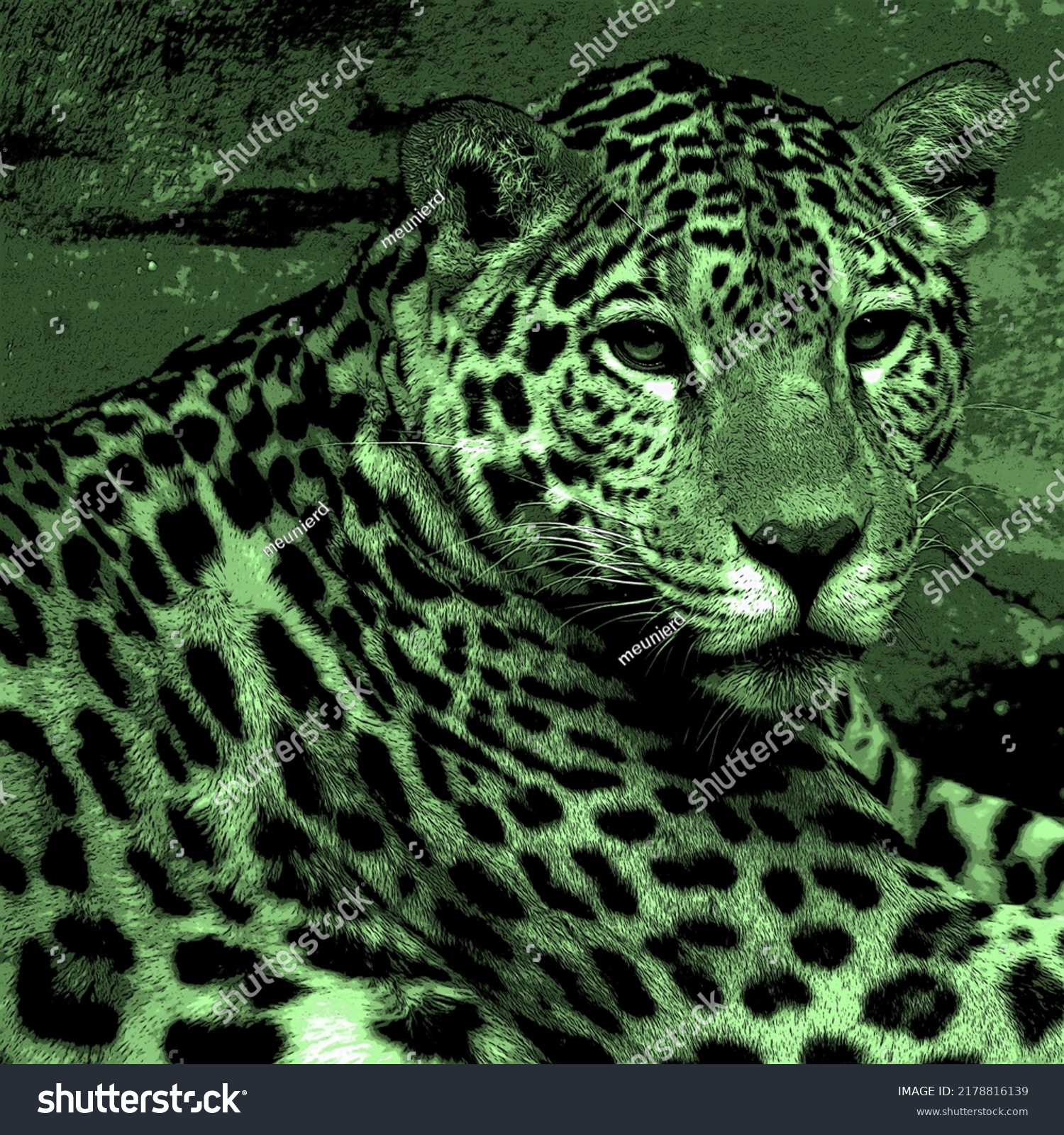 Jaguar Cat Feline Panthera Genus Only Stockfoto 20 ...
