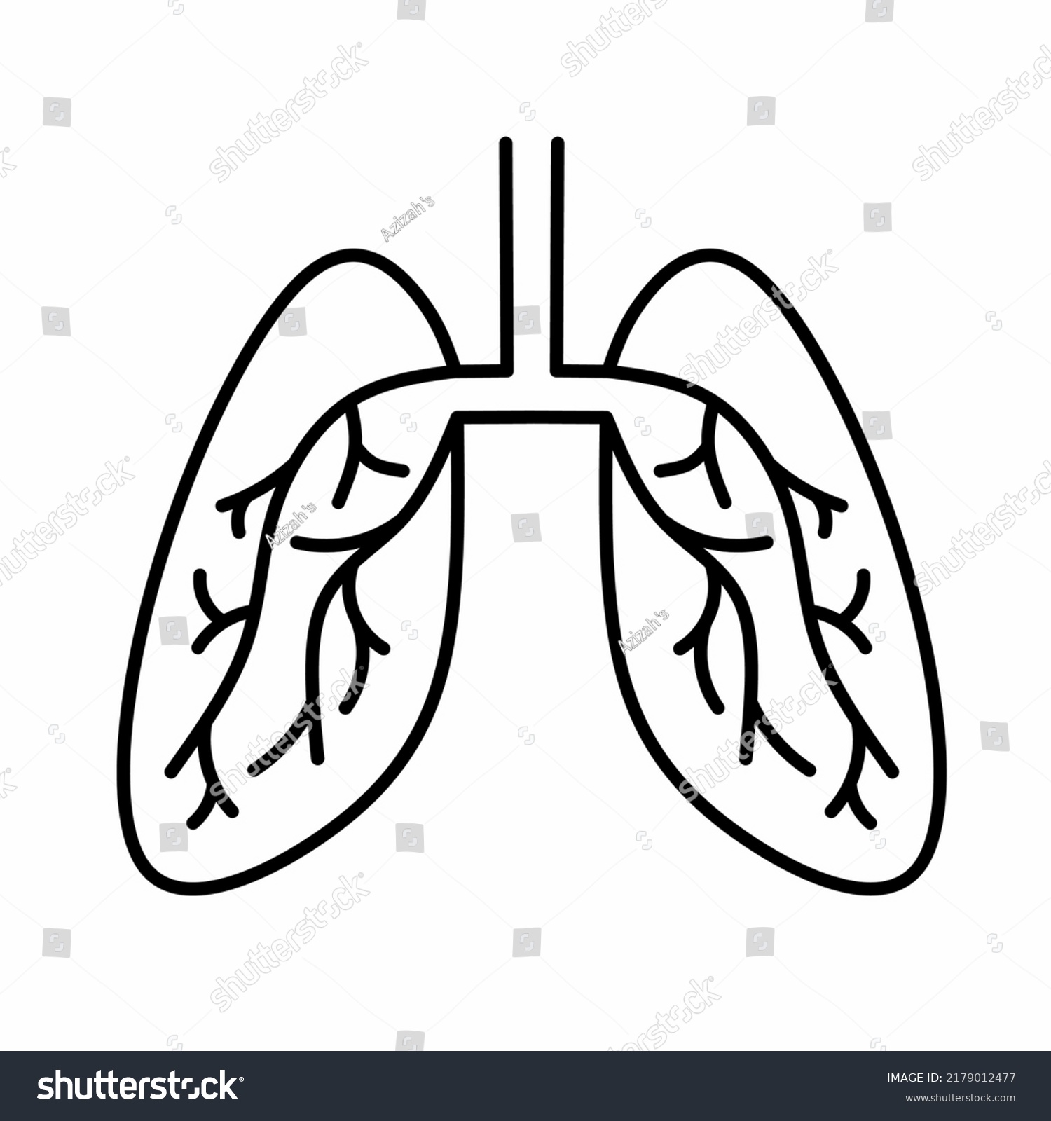 Vector Illustration Respiratory Tract Anatomy Line Stock Vector ...