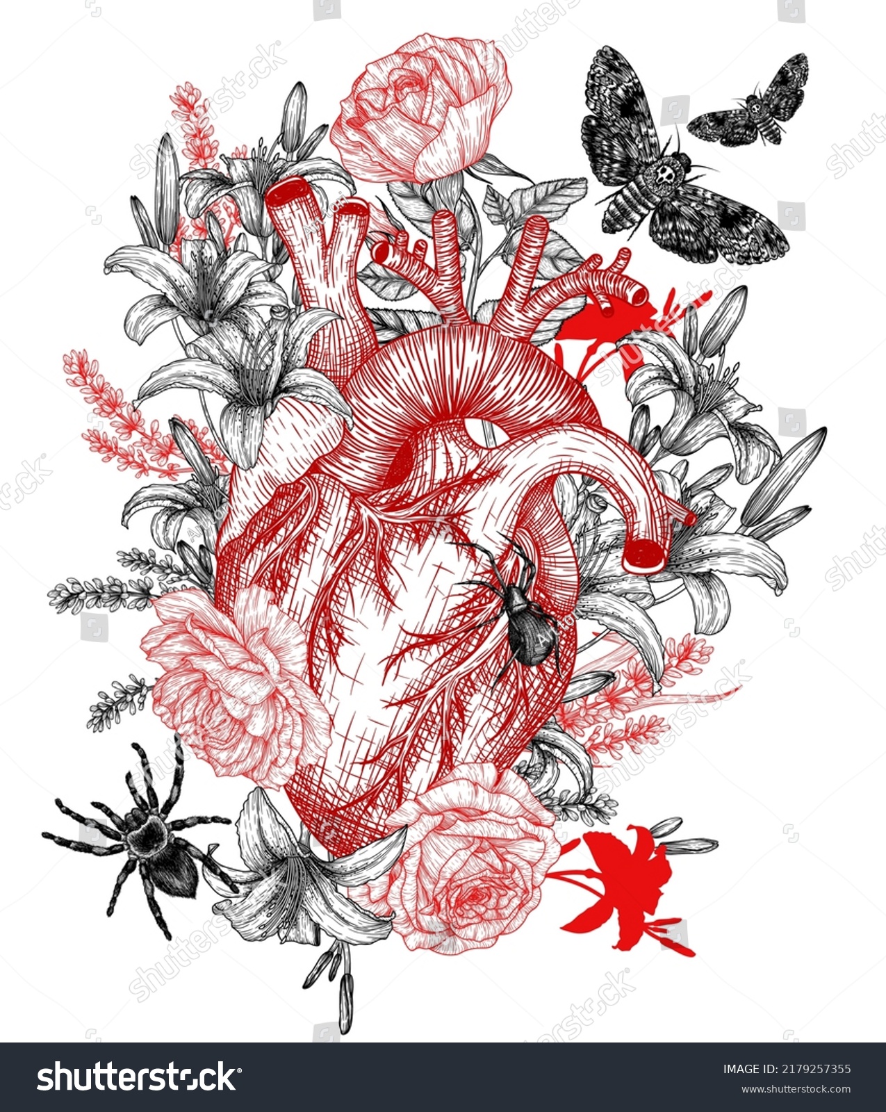 Vector Illustration Anatomical Human Heart Flowers Stock Vector ...