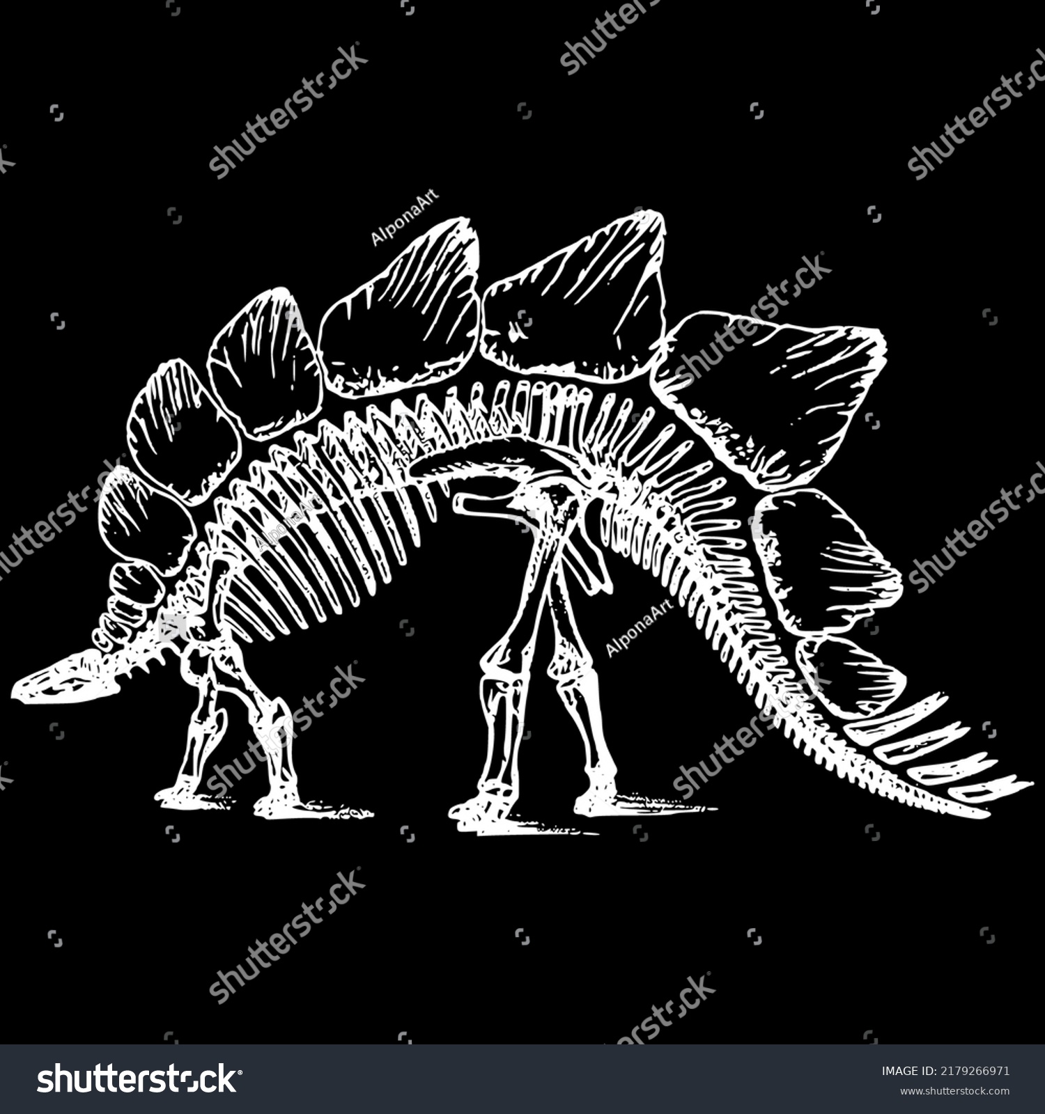 Dinosaur Stegosaurus Skeleton Bone Vector Vector Stock Vector (Royalty ...