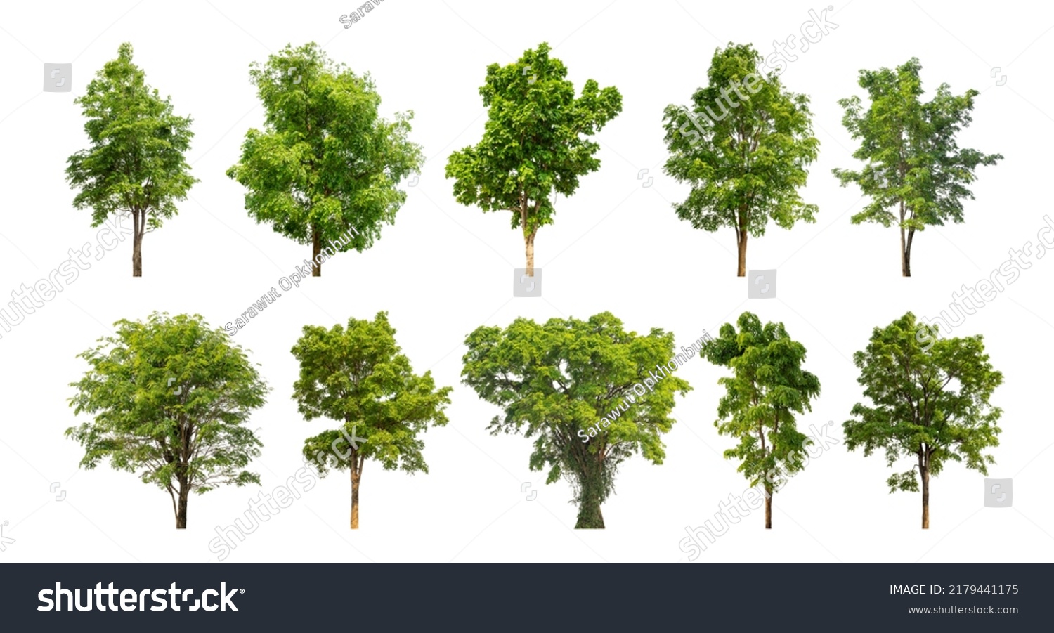 Collection Tree Cut Out Original Background Stock Photo 2179441175 ...