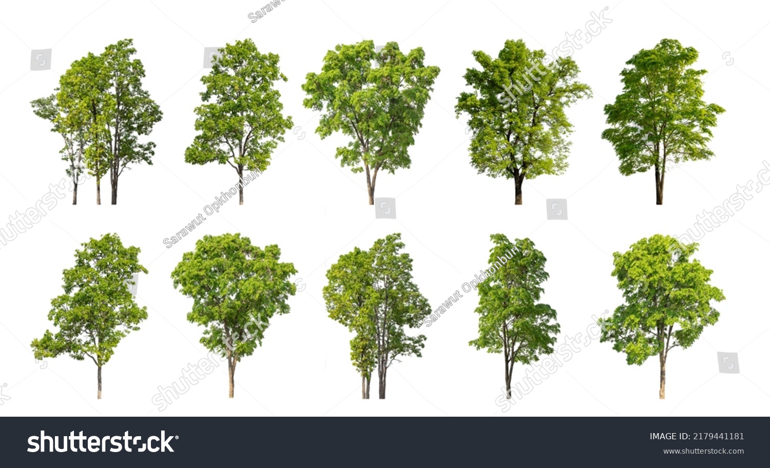 Collection Tree Cut Out Original Background Stock Photo 2179441181 ...