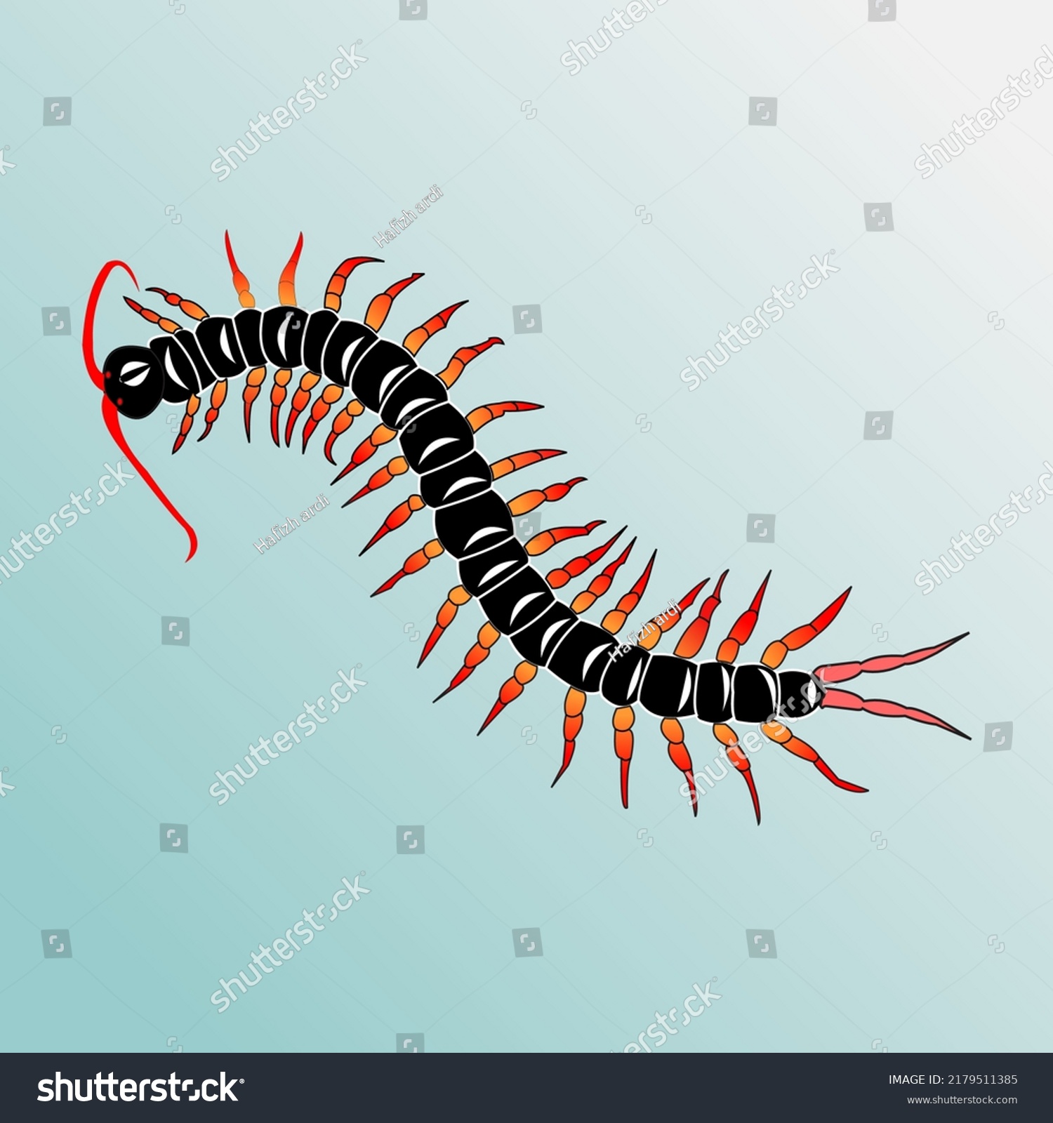 Black Centipede Illustration On White Background Stock Vector (Royalty ...