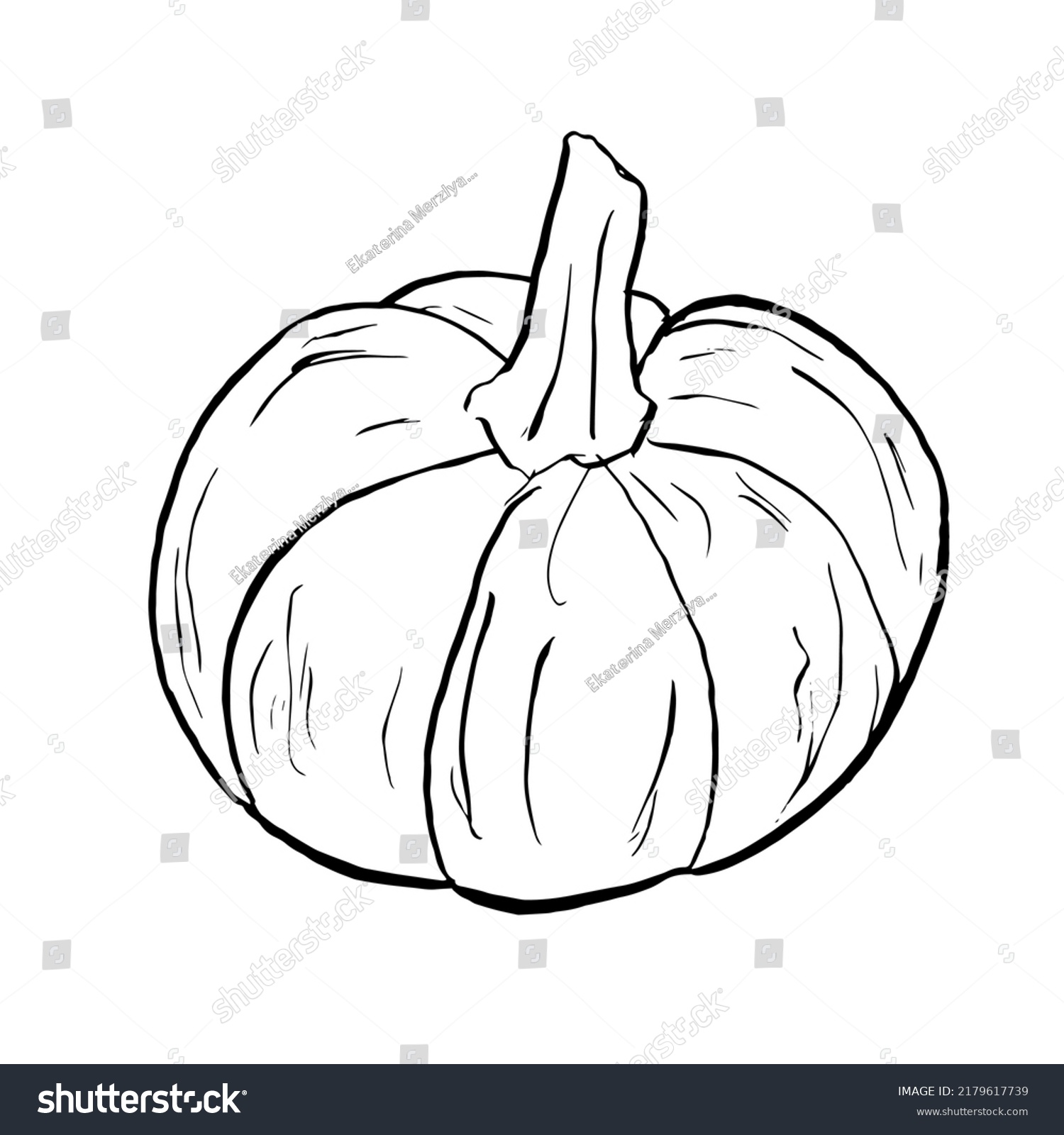 Doodle Pumpkin Sketch Vector Illustration Vegetable Stock Vector ...