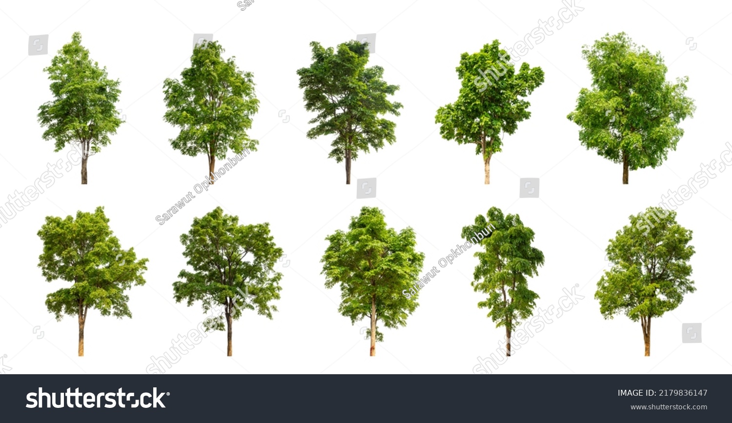 Collection Tree Cut Out Original Background Stock Photo 2179836147 ...