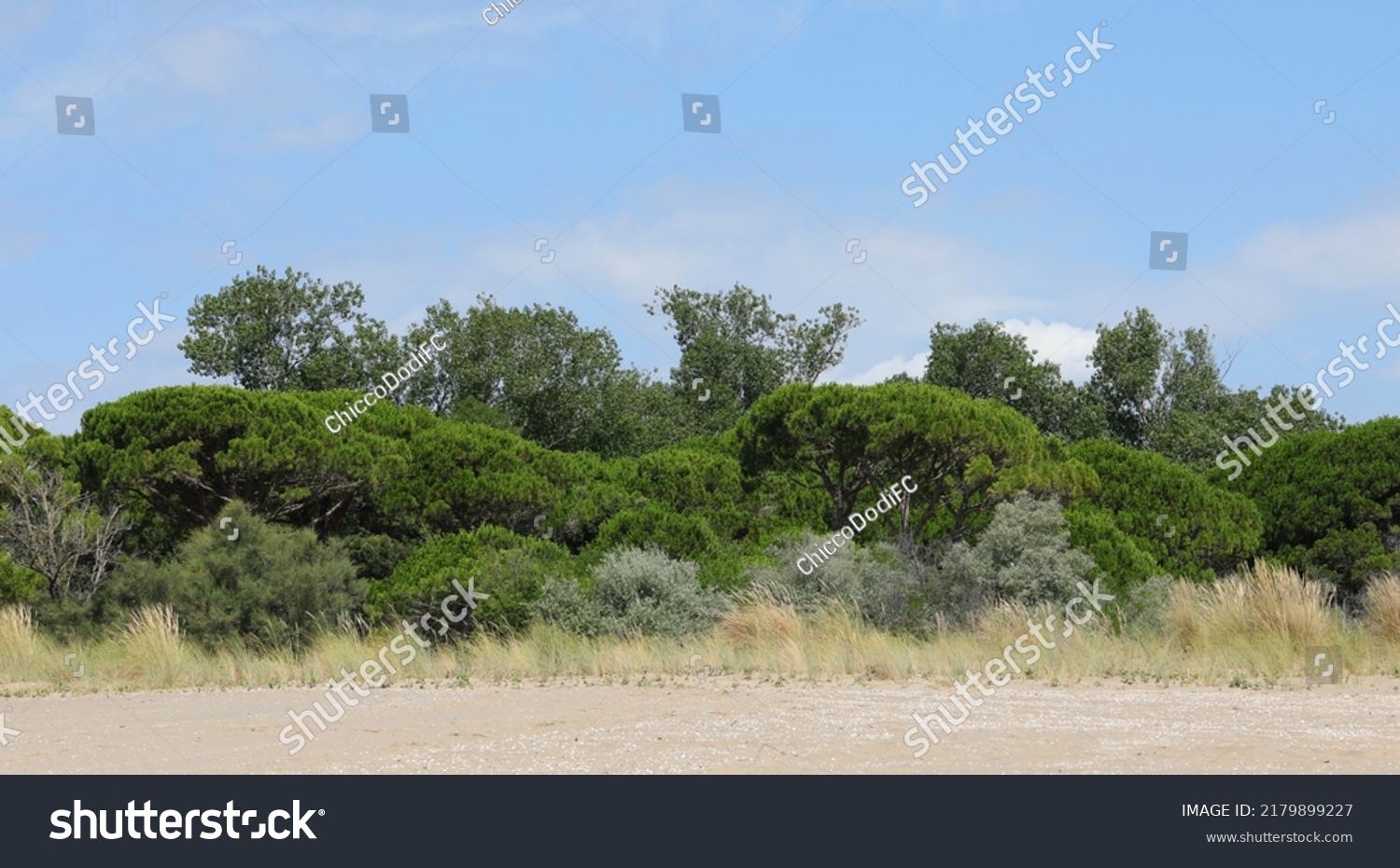 90,533 Mediterranean macchia Images, Stock Photos & Vectors | Shutterstock