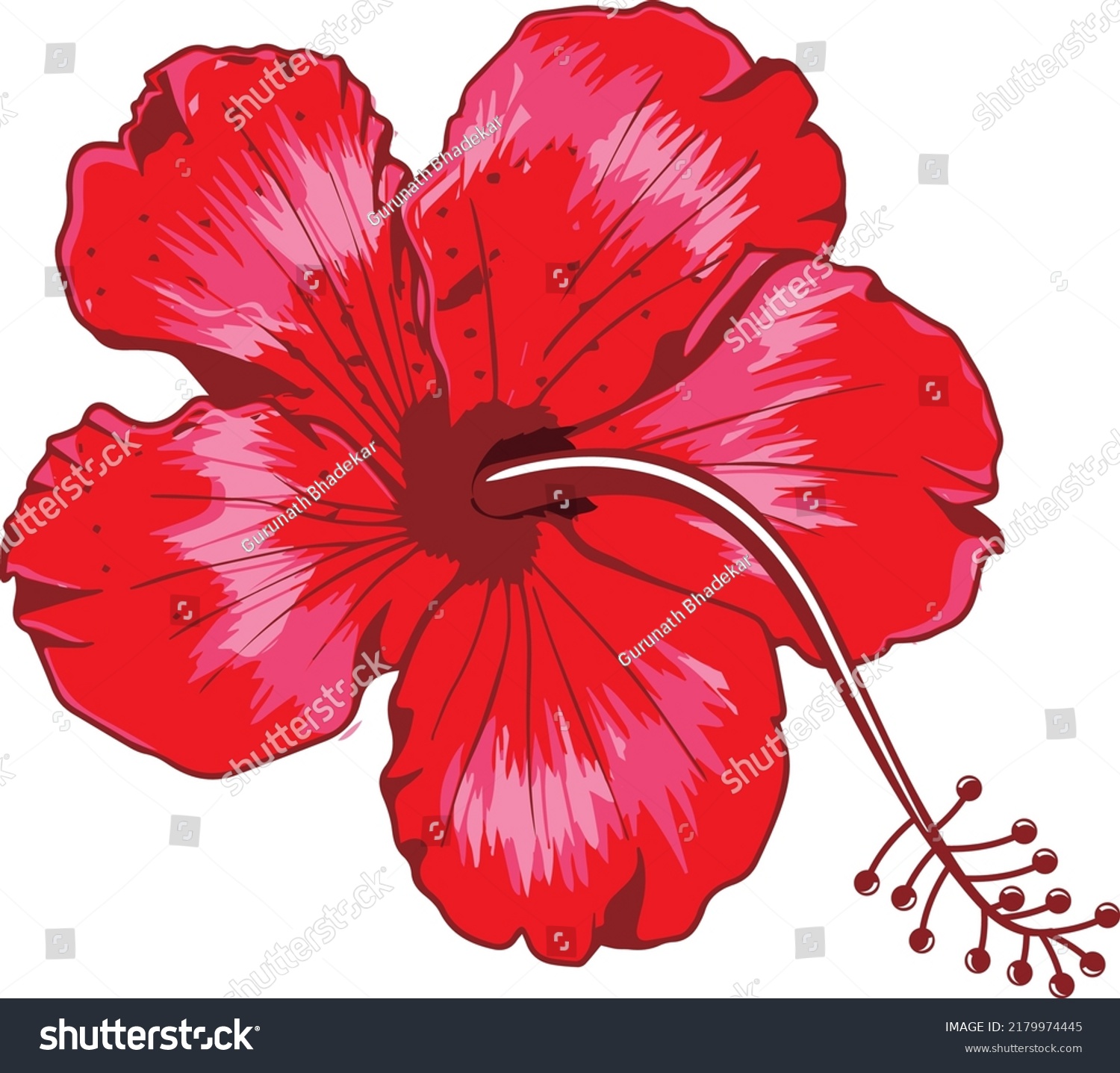 Red Hibiscus Flower Traditional Indian Food Stock Vector (Royalty Free ...