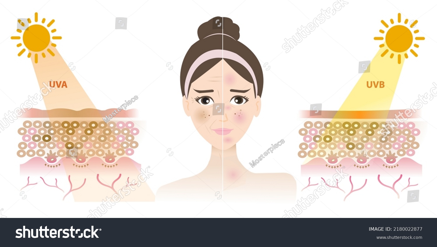 Comparison Damaged Woman Face Uva Uvb Stock Vector (Royalty Free ...