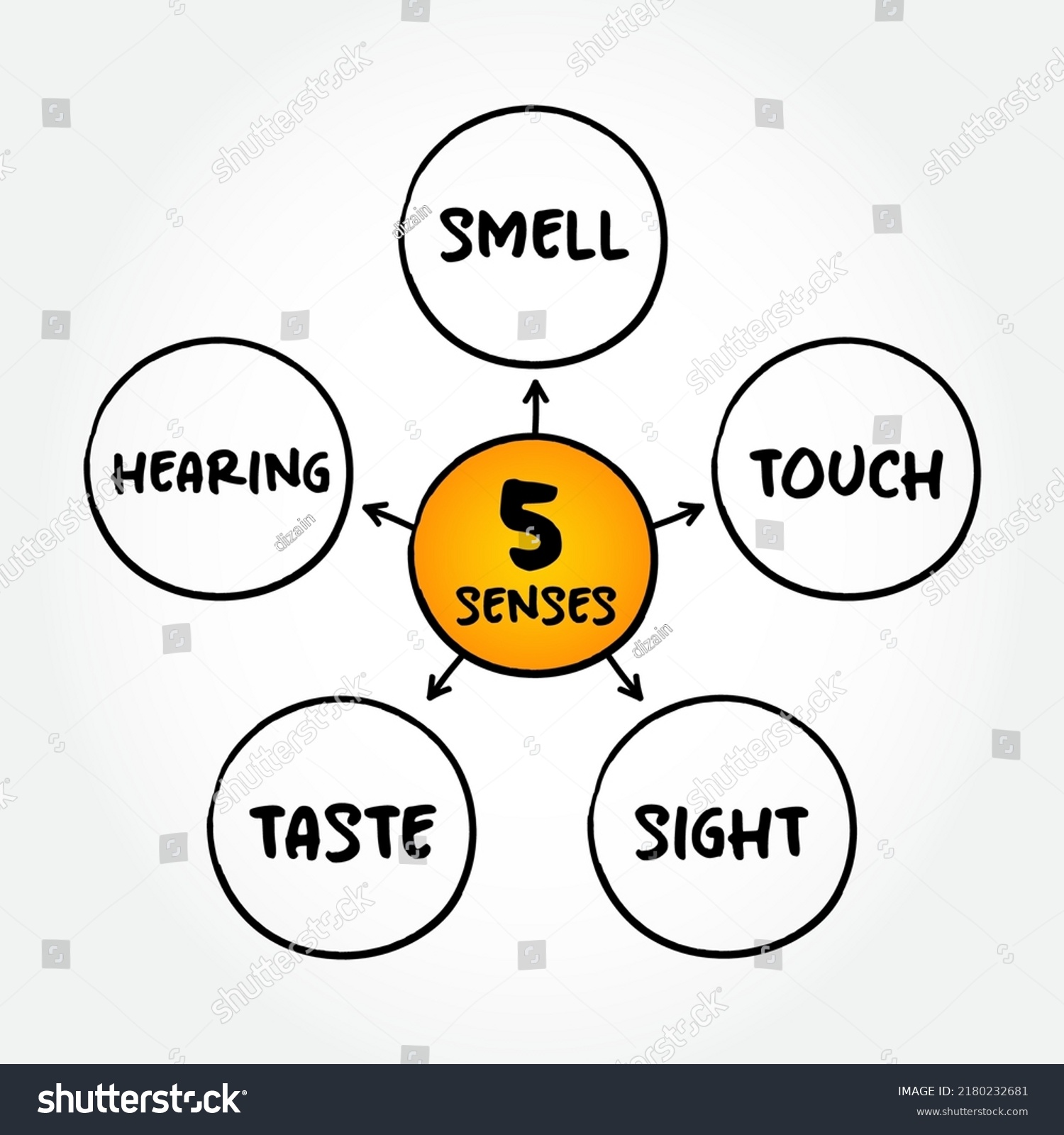 Five Basic Human Senses Touch Sight Stock Vector (Royalty Free ...