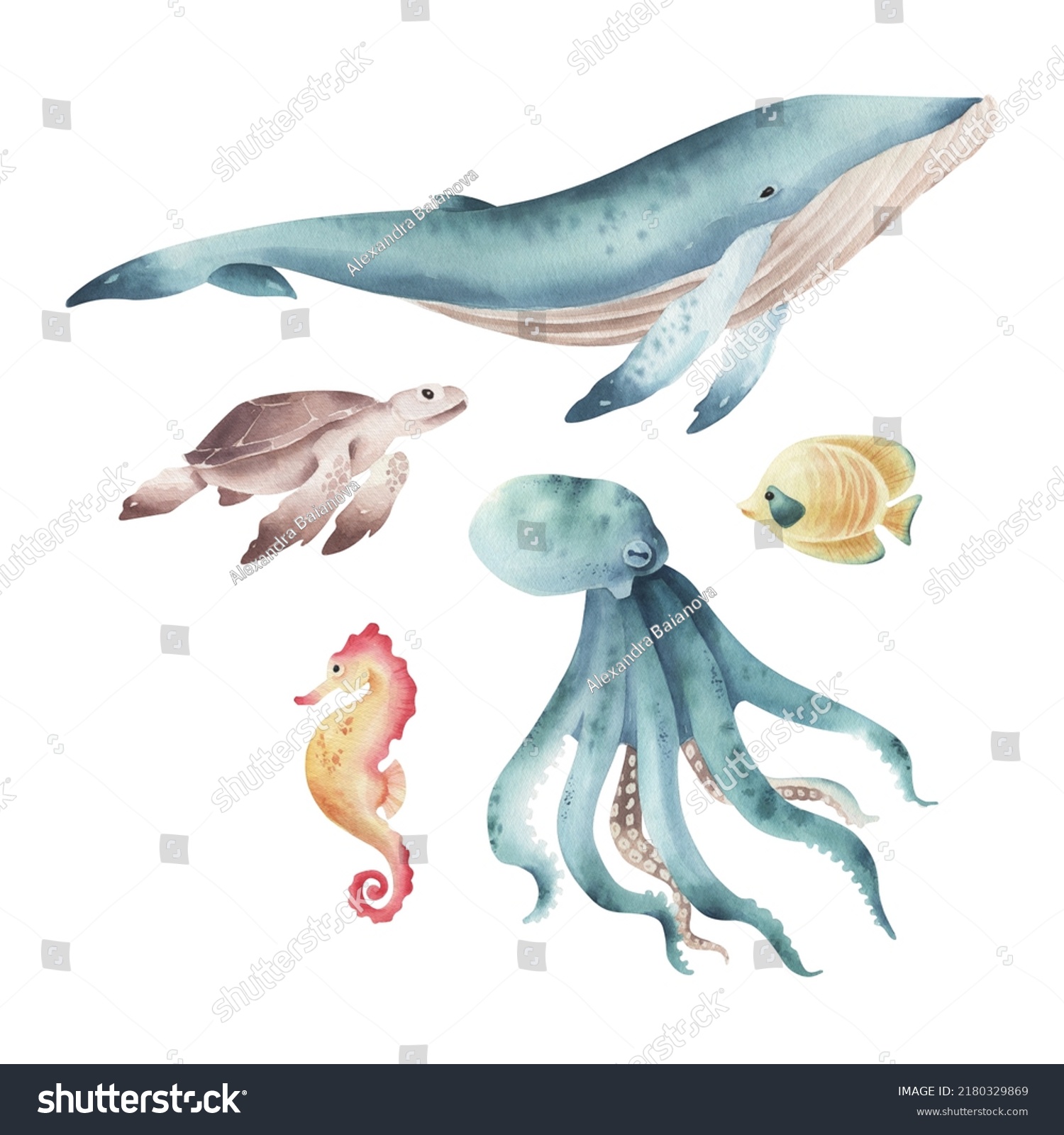 Watercolor Sea Animal Illustrations Set Isolated Stock Illustration ...