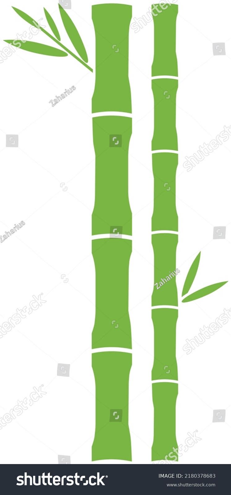 Bamboo Design Elements Leaves Trunks Bamboo Stock Vector (Royalty Free ...