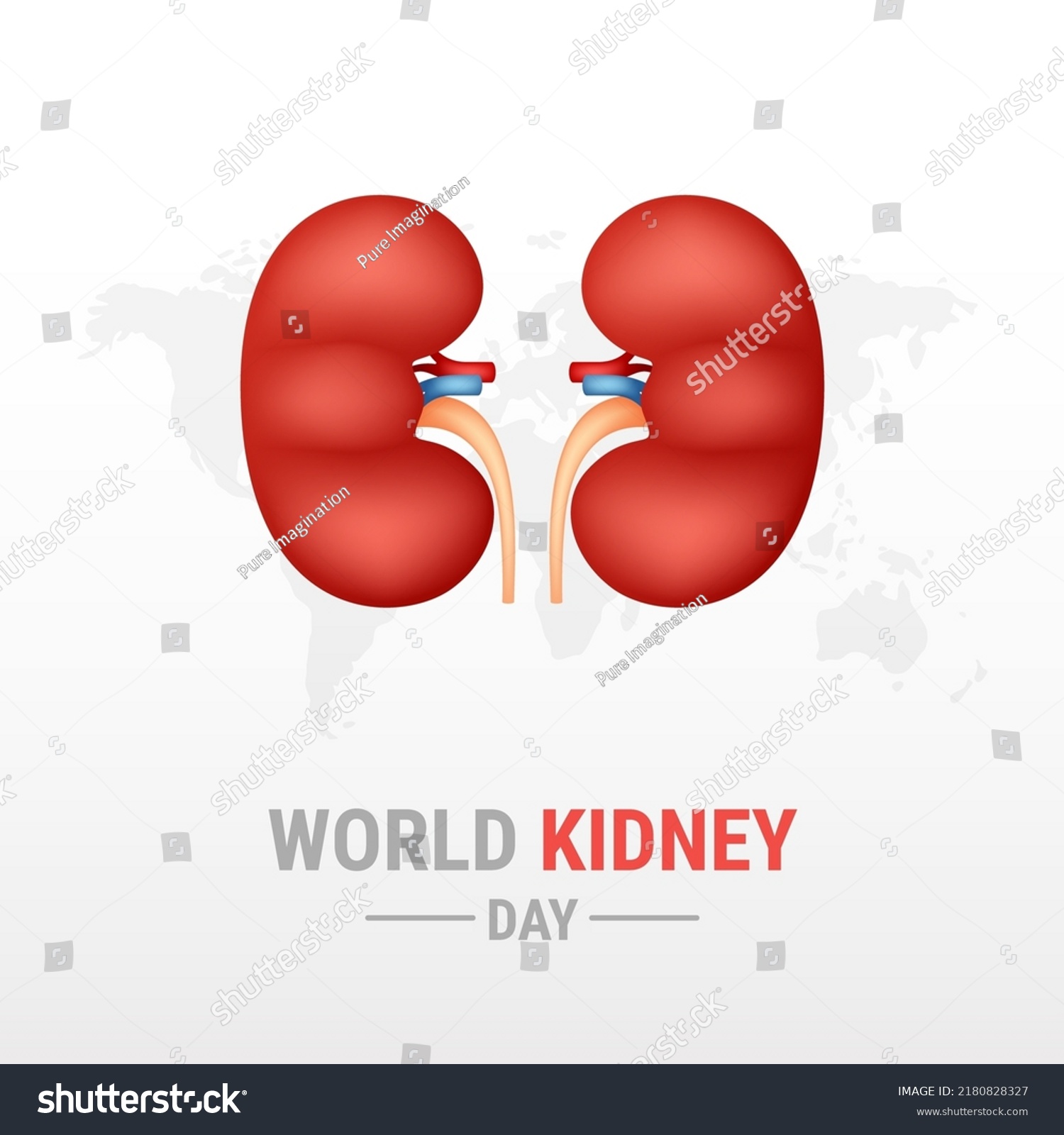 World Kidney Day On White Background Stock Vector (Royalty Free ...
