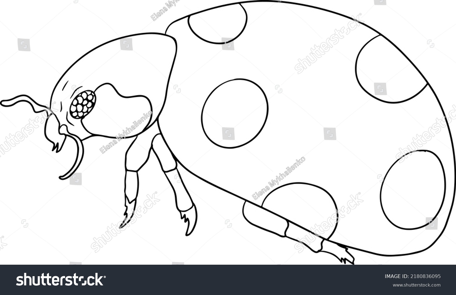 Ladybug Beetles Coloring Pages Detailed Illustration Stock Vector ...