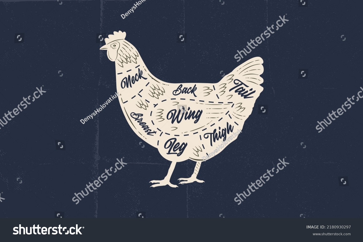 Hen Chicken Meat Chart Butchery Poster Stock Vector (Royalty Free ...